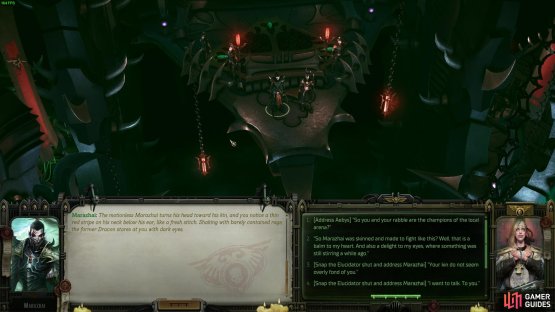 Speak to Marazhai after your chats with Tervantias, and you can proceed to the next arena fight. Some dialogue options will even set him up as a potential companion in the upcoming fight.