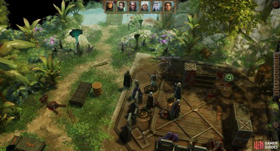 Defeat a Sharpshooter Rebel in the Forests of Janus,