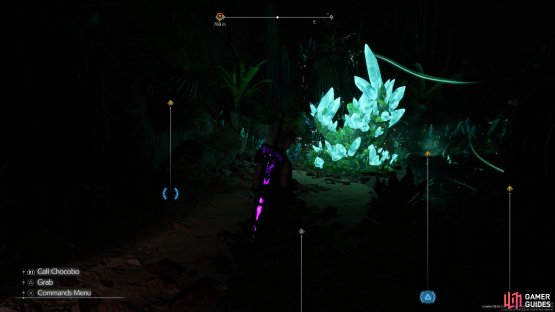 to find the Dawnvale Lifespring