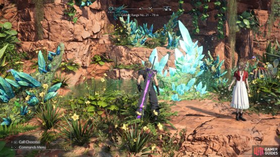 to find the Plateau Ruins Lifespring in the ruins.