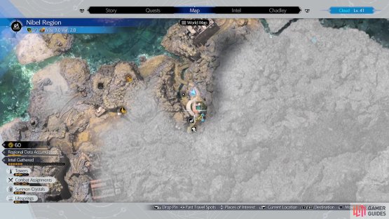 The location of the Chocobo Sage&rsquo;s Manor on the map.