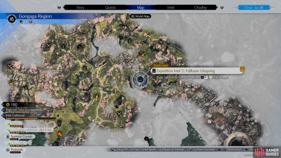 Fallbasin Lifespring location.