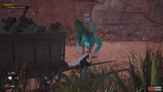 Aponi can be found north from the Chocobo Ranch.