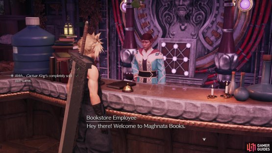 Early in the game you&rsquo;ll be introduced to Maghnata Books, a store that allows you to customize your Folios.