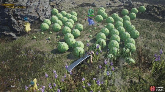The third cacti puzzle is the trickiest, as you need to lure Selena to a barren patch past three groups of cacti.