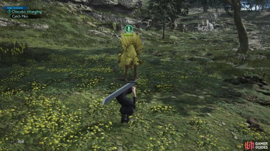 and catch the region&rsquo;s unique chocobo unawares. The actual mechanics of each Chocobo Wrangling minigame will vary, but stealth is a mainstay.