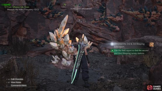 to find the first lifespring.