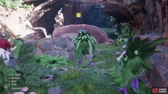 The large mushrooms can only be used while riding a Chocobo.