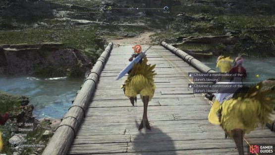 Follow the trail via the assistance of the Chocobo