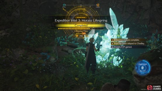 Morass Lifespring.