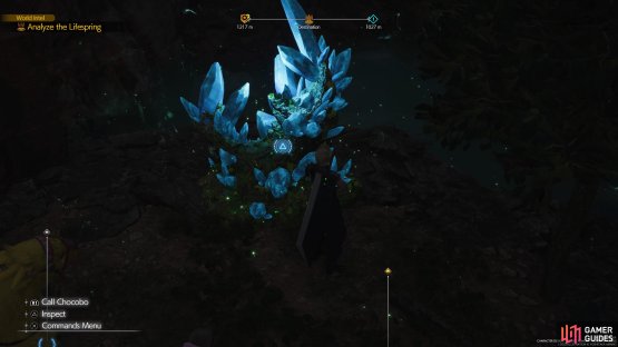 Grasswastes Lifespring.