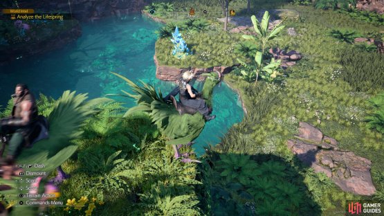 You need a Chocobo to reach the Vaelfloor Lifespring