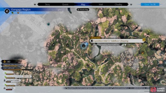 Valefloor Lifespring location.