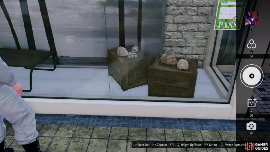 and take a picture of the anaconda in the Kentauros Clothing window display.