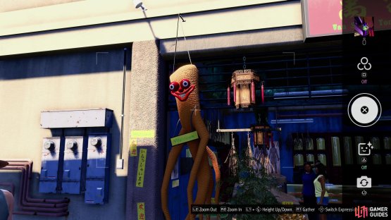 and take a picture of Miss Ginseng.