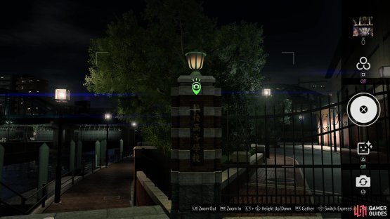and take a picture of the gates.