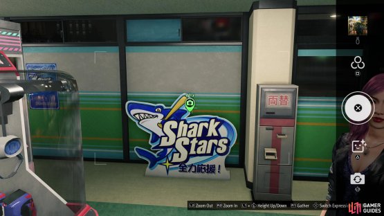 and take a picture of the Shark Stars sign