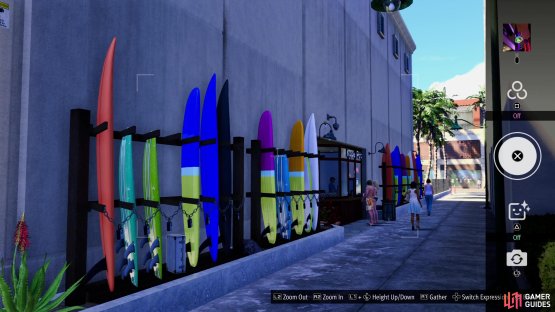 and take a picture of the surfboards outside.