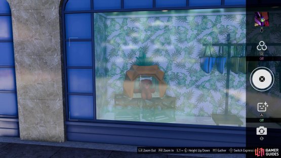 and take a picture of the Pineapple Dog House in the shop window.
