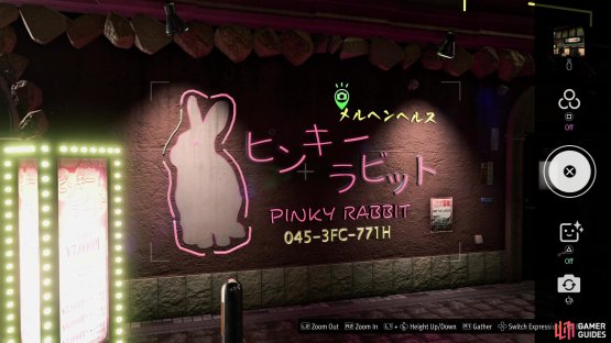 and take a picture of the Fairytale Pink Rabbit.