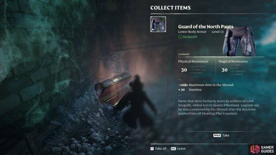 The Gaurd of the North Pants is looted from the buried chest in the rubble.
