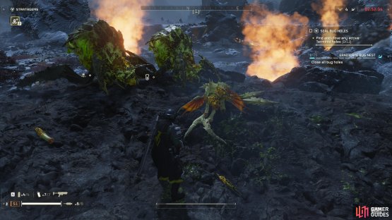 Terminid Hunters have distinctive burnt-orange wings that you can easily see in most environments.