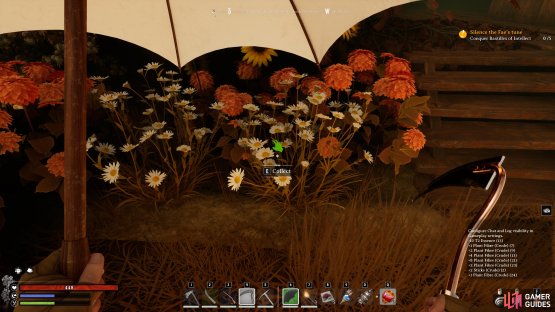 Look for Chamomile flowers in and around Danu’s hut.