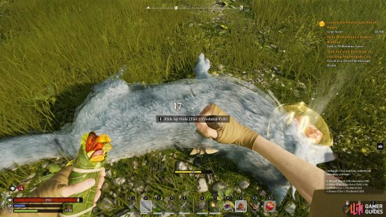 Use a skinning knife to extract the hide from a creature.