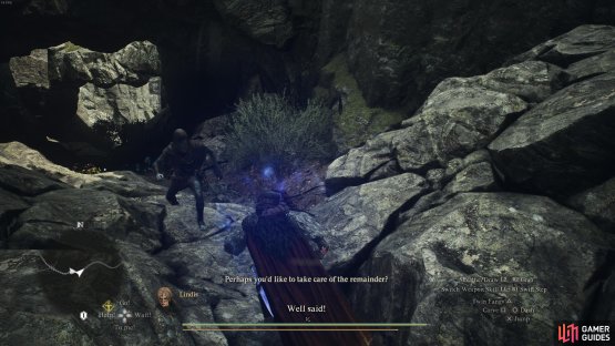 An example of a cloaked Scavenger.