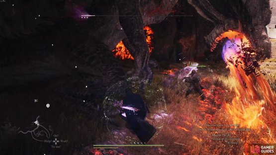 Stay at the side or behind the Drake as it uses the fire breath attack.