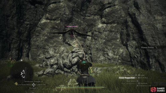 while if you ascend you&rsquo;ll find venin harpies and their nests.