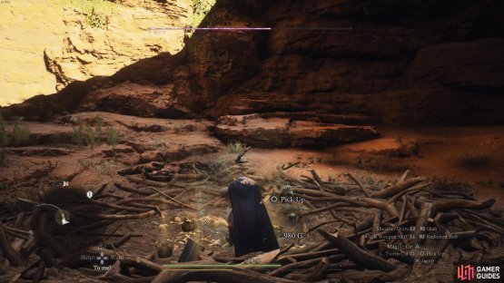 You&rsquo;ll find some extra gold and gems that can be looted from the Griffin&rsquo;s nest.
