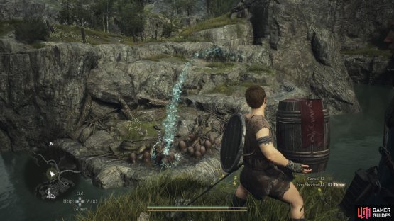 Throw the explosive casks into the Saurian Nest to destroy it and kill the Saurians.