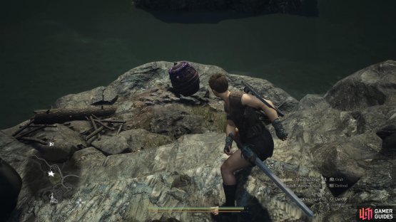 Go across the bridge and make your way to the area above the nest to ensure that you throw the jar in the nest, and not the river!