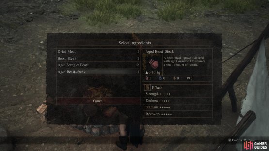 You can cook various meats at campsites to provide a variety of buffs for the day (or night) ahead.
