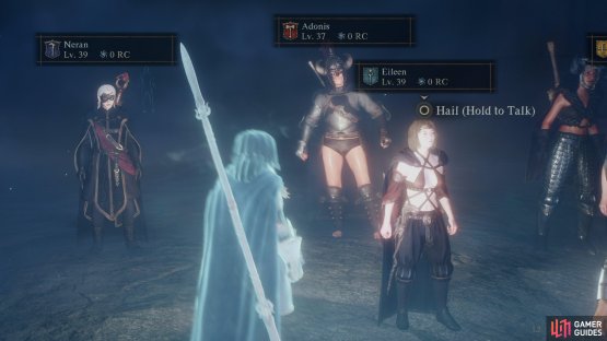 Upon entering a Riftstone you can choose from around a dozen or so different Pawns to invite to your party.