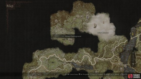 The Ancient Battleground has one of the toughest dragons in the game, but you can get a lot of Wyrmslife Crystals by killing it. 