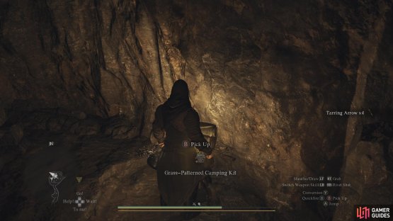The Grass-Patterned Camping Kit can be found on the ledge opposite the campfire.