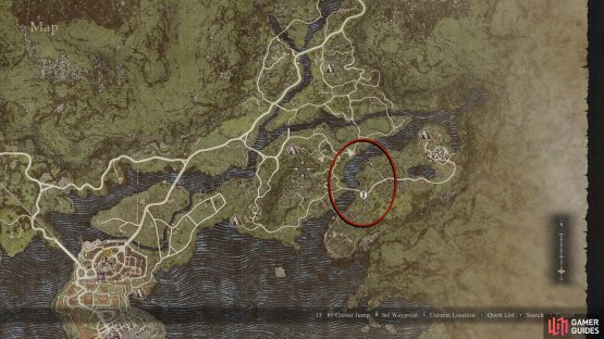 Follow the road northeast out of Vernworth to reach the general area.