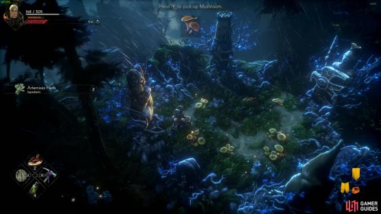 Go up the hill to the south of the campfire by the road in the Glades to find 7 mushrooms in a small clump.