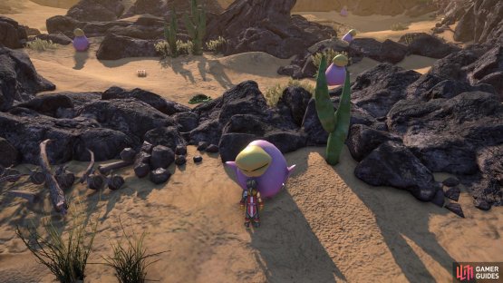 Interact with the plant