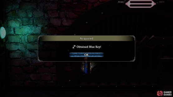 Open the chest in the northeast corner for the Blue Key