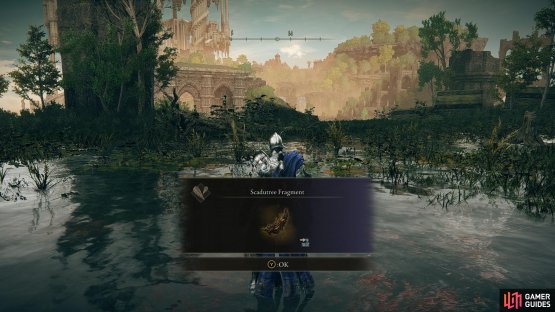 and kill the Golden Hippo to claim the Scadutree Fragment.