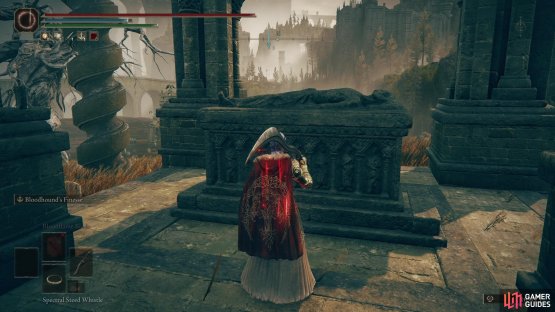 to find the Backhand Blade sitting next to a coffin.