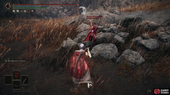and defeat the Ancient Dragon Man for the Dragon Hunter Great Katana.