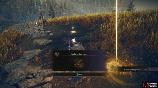 to find the Scadutree Fragment next to the site of grace.