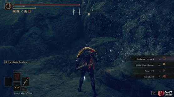and kill the Pot Shade to obtain the Scadutree Fragment. 