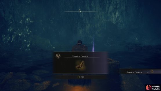 to find the Scadutree Fragment sitting inside of the coffin.