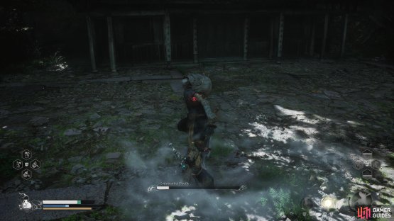 to find the Commander Beetle