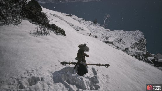 Turn away from the Turtle Island Shrine and head to the cliff&rsquo;s edge to find the Cyan Loong.